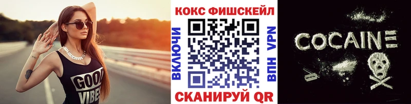 COCAIN FishScale  Купить закладки  Шатура 