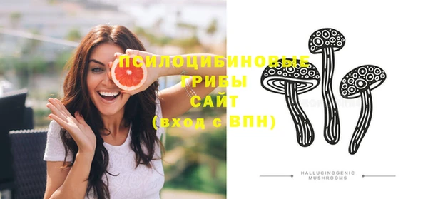 гидра Фурманов