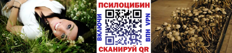 Галлюциногенные грибы Psilocybine cubensis  Купить где  Шатура 